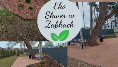 Ząbki - EKO Skwer przy ul. Zycha po rewitalizacji