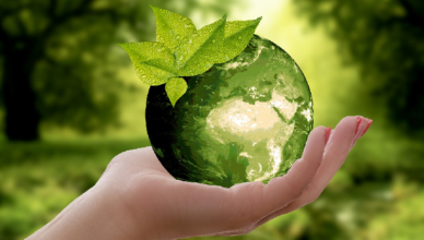 22 kwietnia to Światowy Dzień Ziemi - Inwestujmy w naszą planetę