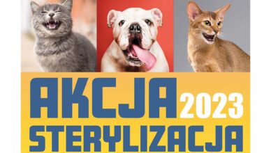 Marki - akcja sterylizacja 2023