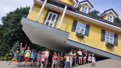 Zielonka - nowe konkursy dla organizacji pozarządowych