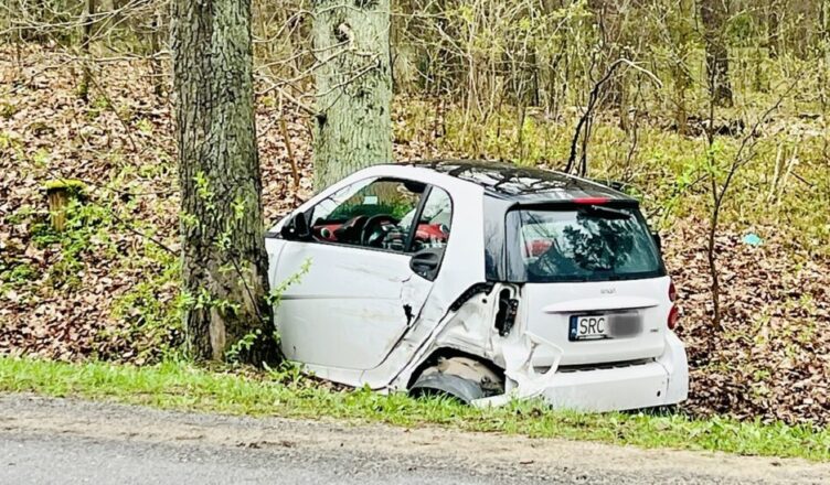 Smarta cudem nie rozbił się na drzewie na DW 631