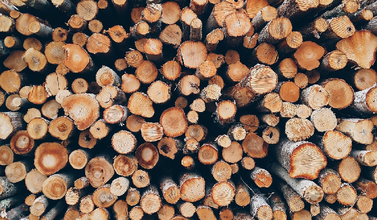 Chciał kupić drewno od dwóch mężczyzn - cała trójka usłyszała zarzuty