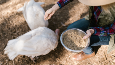 Informacja dla rolników z gminy Radzymin