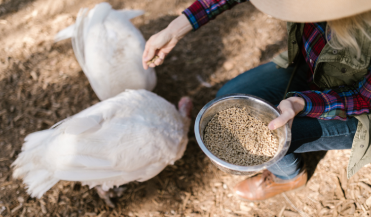 Informacja dla rolników z gminy Radzymin