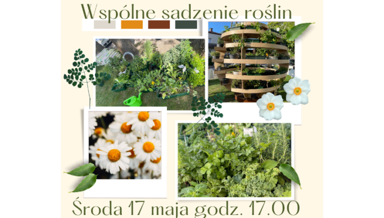 Kobyłka - sadzenie roślin w kuli