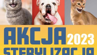 Marki - akcja sterylizacja 2023