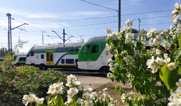 Na letnie wyprawy z Biletem Turysty