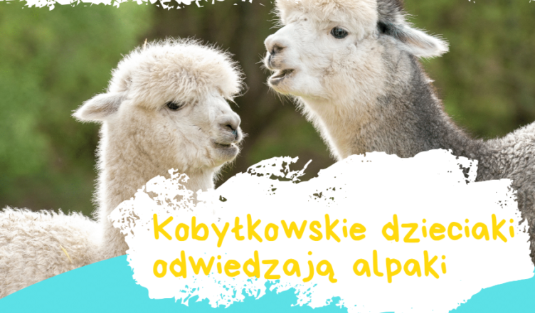 Kobyłkowskie dzieciaki odwiedzają alpaki - bezpłatna wycieczka dla uczniów klas I-III