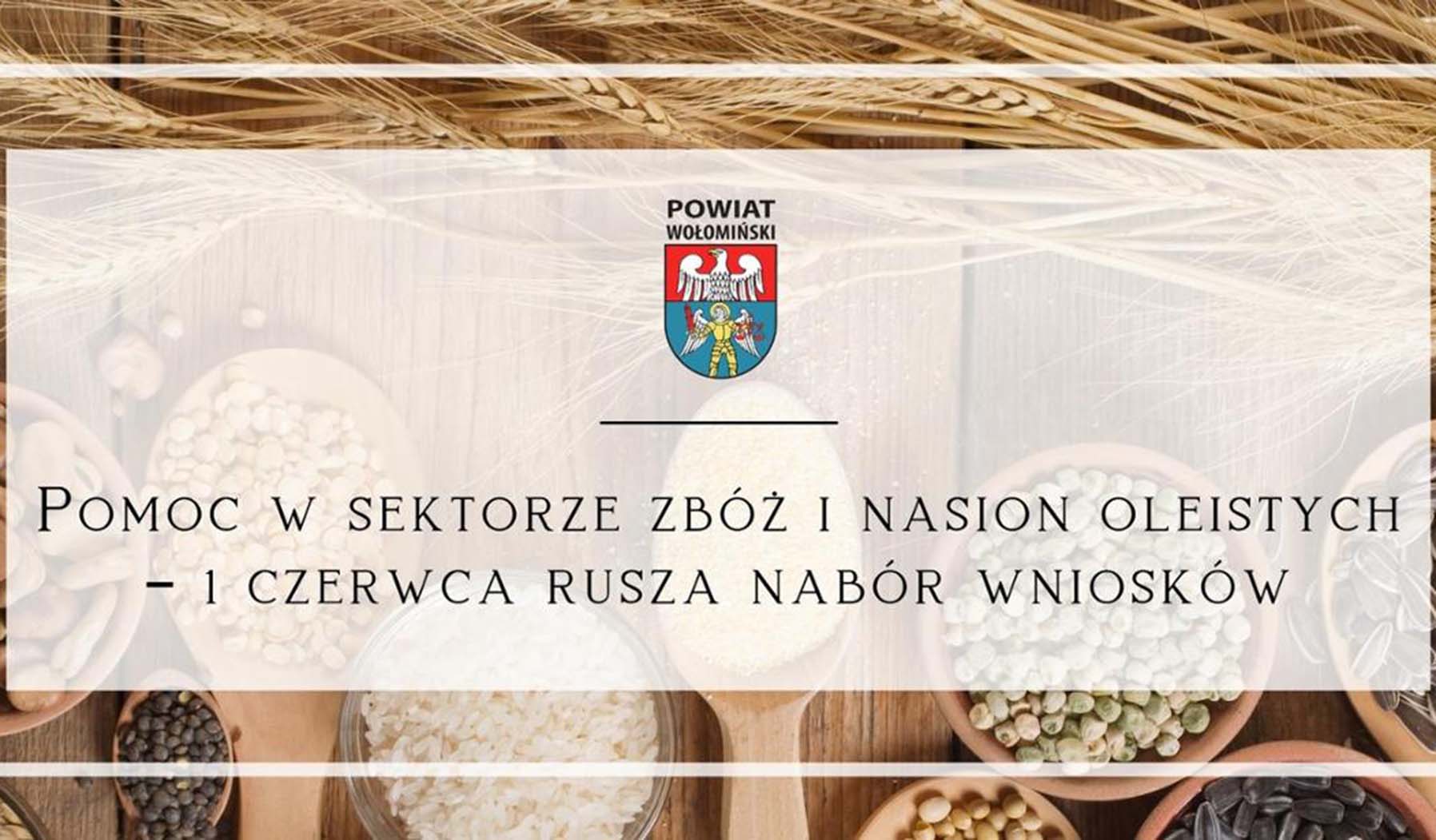 Pomoc w sektorze zbóż i nasion oleistych – 1 czerwca rusza nabór wniosków