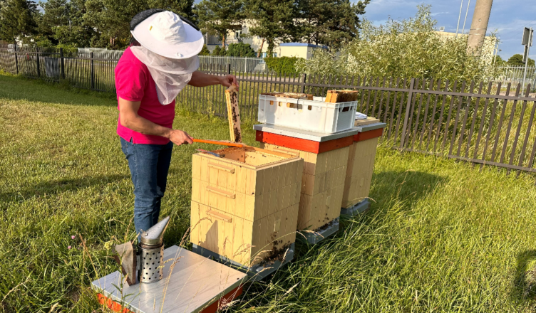 Klembów - Pierwsze Miodobranie w 2023 roku