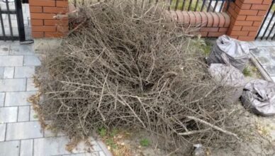 Marki - wystawiaj bioodpady prawidłowo