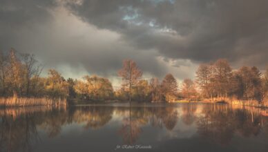 Marki - Konkurs FOTOGRAFICZNE DIAMENTY