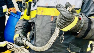 Wąż na osiedlowym podwórku