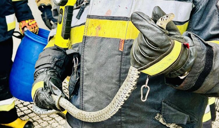 Wąż na osiedlowym podwórku