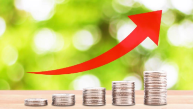 ZUS: informacja o stanie konta ubezpieczonego już na PUE