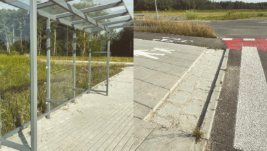 Nowa aleja już została zdewastowana - Burmistrz Radzymina obiecuję nagrodę za wskazanie sprawców