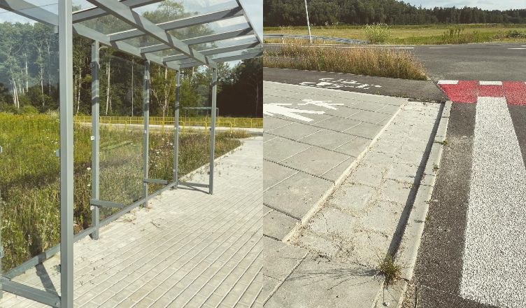 Nowa aleja już została zdewastowana - Burmistrz Radzymina obiecuję nagrodę za wskazanie sprawców