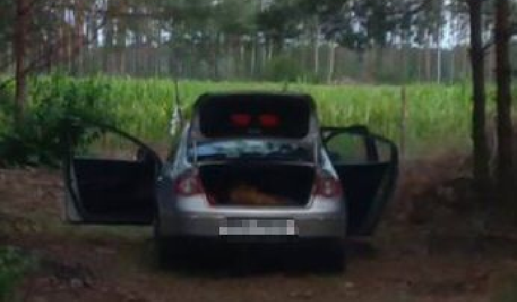 Miał 3 promile więc na widok policji rzucił się do ucieczki - pościg zakończył się w lesie