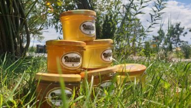 Klembów - wakacyjna Promocja Meldunkowa