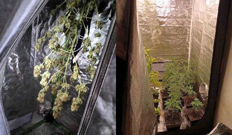 Zwrócił na siebie uwagę bo rozbijał butelki na klatce schodowej - w mieszkaniu hodował konopie