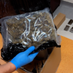 To nie były zwykłe żelki - 32-latek został zatrzymany za posiadanie narkotyków