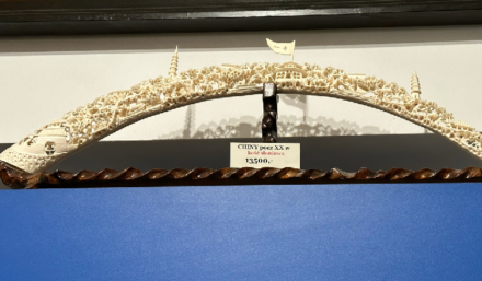 Handlował kością słoniową - duża akcja policji