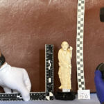 Handlował kością słoniową - duża akcja policji