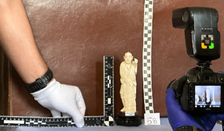 Handlował kością słoniową - duża akcja policji