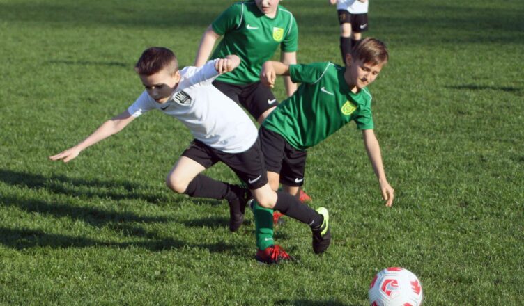 Marki - Otwarty nabór do Marcovii