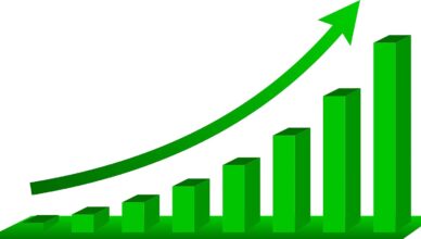 Marki - Marki rosną jak na drożdżach