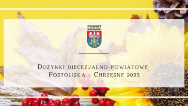 Dożynki Diecezjalno-Powiatowe w Postoliskach i Pałacu w Chrzęsnem