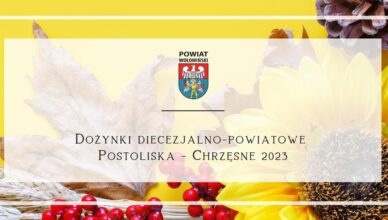 Dożynki Diecezjalno-Powiatowe w Postoliskach i Pałacu w Chrzęsnem