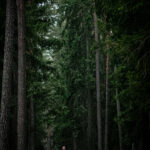 Żołnierze 5 MBOT z sojusznikami NATO na Norwegian Foot March