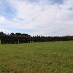 Do przysięgi! - za nami kolejne zaprzysiężenie Terytorialsów z 5MBOT