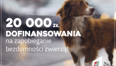 Zielonka - 20 000 złotych dofinansowania na rzecz zwierząt