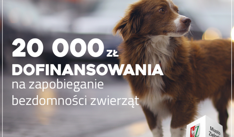 Zielonka - 20 000 złotych dofinansowania na rzecz zwierząt