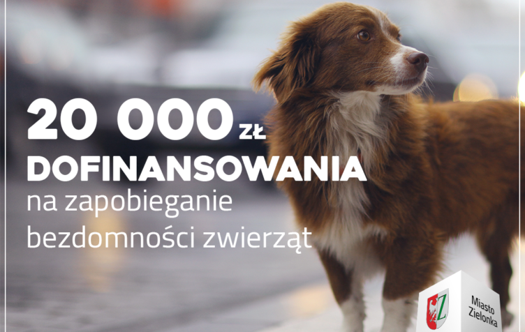 Zielonka - 20 000 złotych dofinansowania na rzecz zwierząt