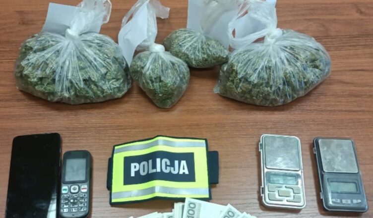 PONAD PÓŁ TYSIĄCA PORCJI HANDLOWYCH NARKOTYKÓW NIE TRAFI DO SPRZEDAŻY DZIĘKI OSTROŁĘCKIM POLICJANTOM