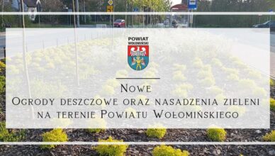 Nowe ogrody deszczowe oraz nasadzenia zieleni na terenie Powiatu Wołomińskiego