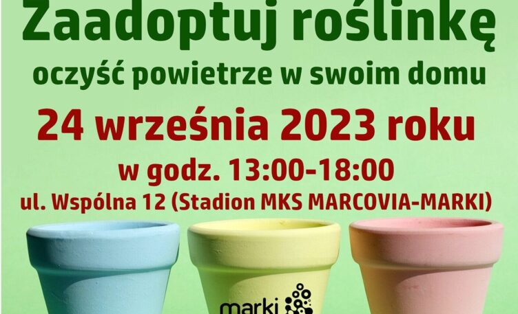 Marki - zaadoptuj roślinkę - oczyść powietrze w swoim domu
