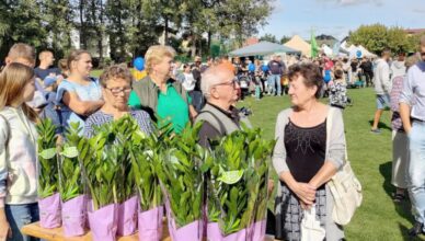 Marki - ponad 14 000 sztuk baterii i akumulatorków!