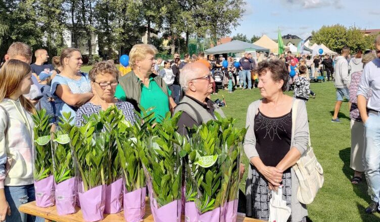 Marki - ponad 14 000 sztuk baterii i akumulatorków!