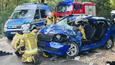 „Przewóz osób” z pasażerami rozbity na drzewie. Kierowca zakleszczony we wraku.