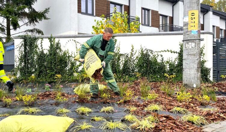 Zielonka - nowe nasadzenia na Bankówce