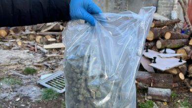 Zatrzymany za posiadanie narkotyków