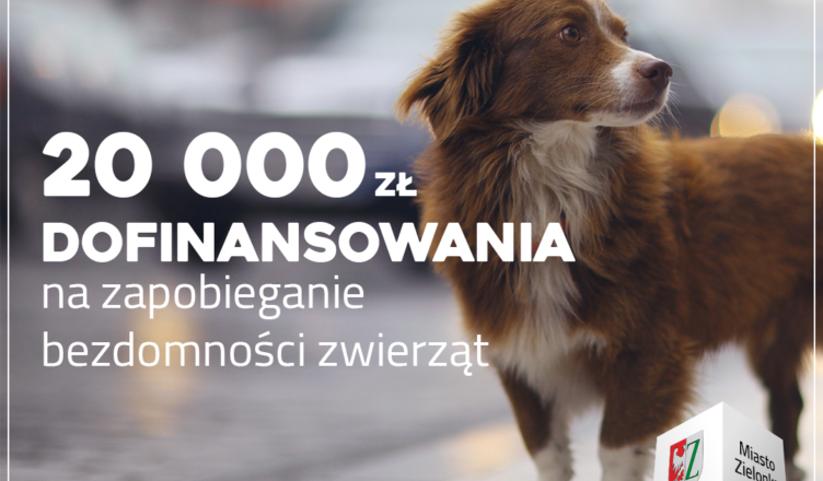 Zielonka - dofinansowanie do sterylizacji zwierząt