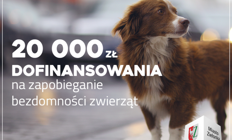 Zielonka - dofinansowanie do sterylizacji zwierząt