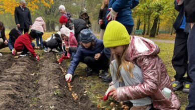 Pole Nadziei kolejny raz zakwitnie w Zielonce