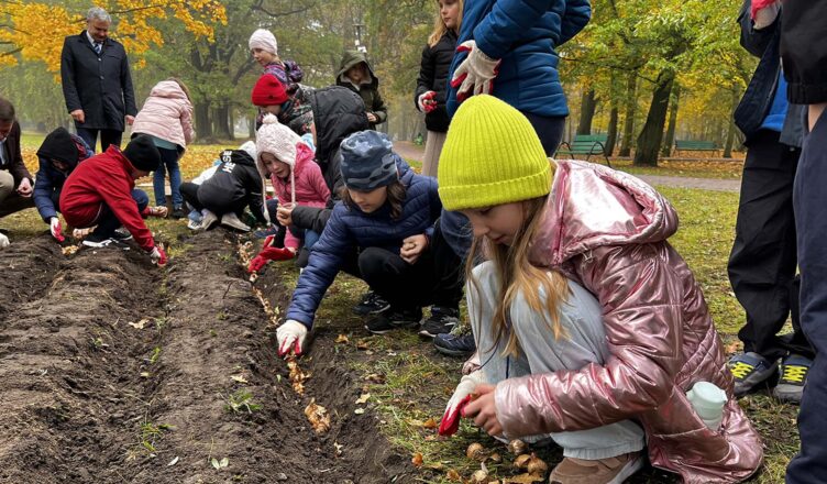 Pole Nadziei kolejny raz zakwitnie w Zielonce