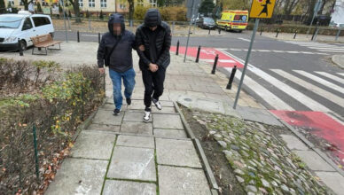 Poznawał kobiety, zamieszkiwał u nich, a później je okradał